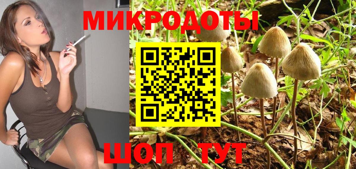 Галлюциногенные грибы Psilocybine cubensis Балтийск